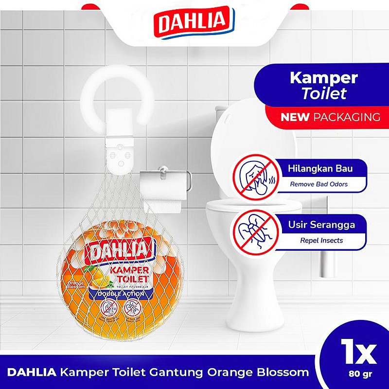 DAHLIA FRUITY GT ORANGE(K-24/SG)